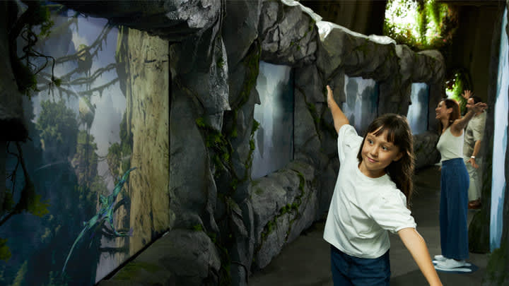 Image of T-Shirt, Animal, Zoo, Pants, Rock, Vegetation, Jungle, Nature, Outdoors, Face, Head, Person, Photography, Portrait, Aquarium, Water, Child, Female, Girl, Land, Rainforest, Tree, Adult, Woman,
