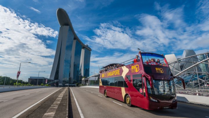 Image of City, Bus, Vehicle, Road, 