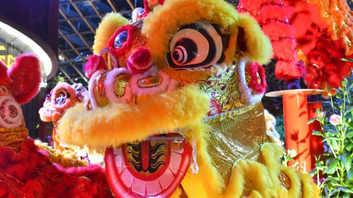 Image of Chinese New Year, Festival, 