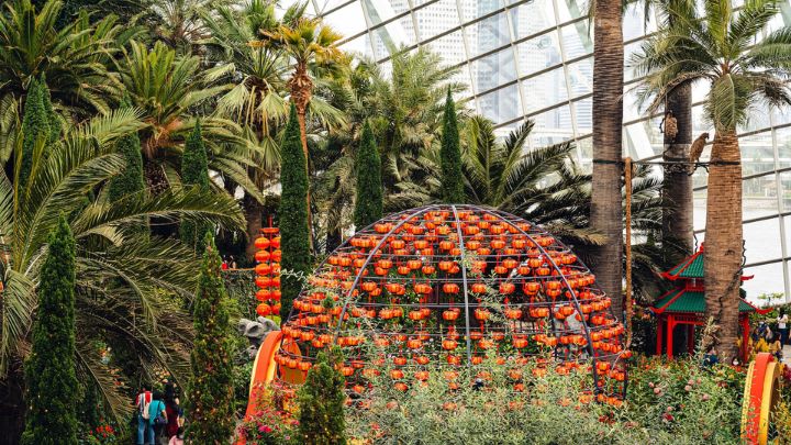 Image of Garden, Nature, Outdoors, Gardening, Vegetation, Arbour, Person, 