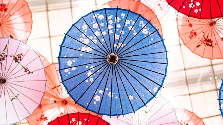 Image of Canopy, Umbrella,