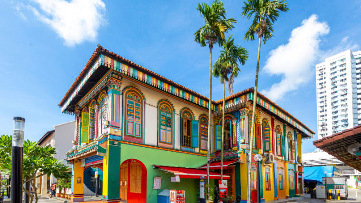 Image of City, Neighborhood, Road, Street, Urban, Palm Tree, Tree, House, Housing, Villa, Person, Summer, Hotel, Path,