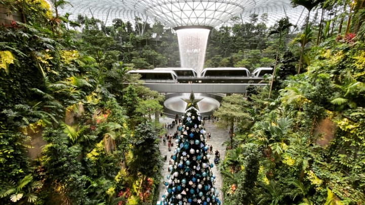 Image of Garden, Nature, Outdoors, Vegetation, Land, Rainforest, Tree, Jungle, Arbour, Car, 