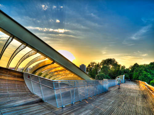 Image of Handrail, Boardwalk, Bridge, Path, Walkway, Person, Nature, Outdoors, Scenery, Water, Waterfront, Deck, House, Housing, Porch, 