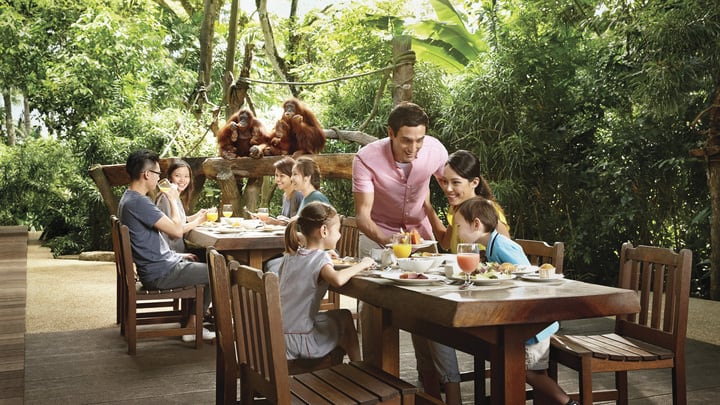 Image of People, Person, Chair, Furniture, Child, Female, Girl, Adult, Male, Man, Dining Table, Table, Woman, Boy, Brunch, Food, Animal, Bear, 