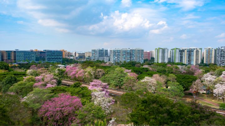 Image of Building, Cityscape, Urban, City, Nature, Outdoors, Scenery, Building Complex, 