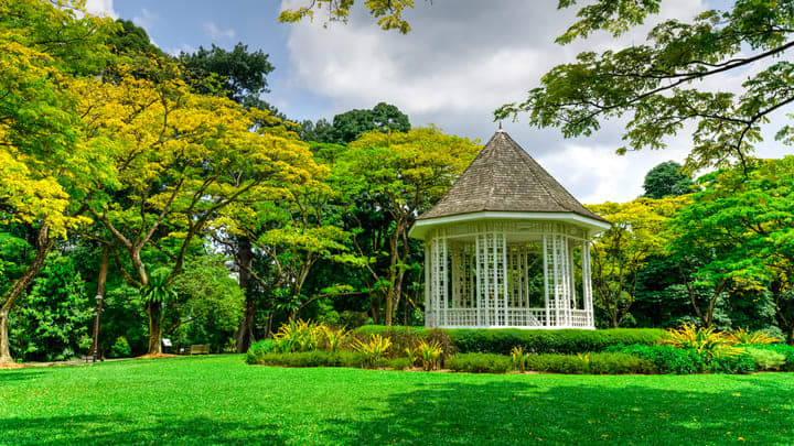 Image of Grass, Outdoors, Lawn, Nature, Park,