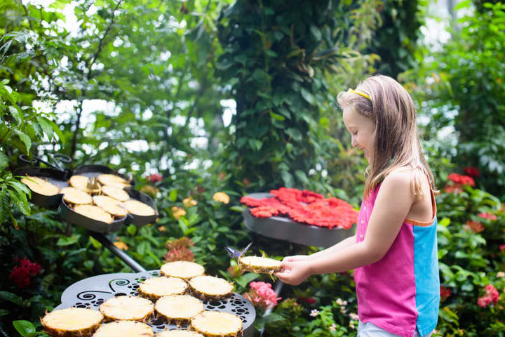 Image of Child, Female, Girl, Person, Bbq, Cooking, Food, Grilling, 