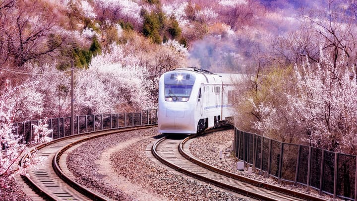 Image of Flower, Railway,