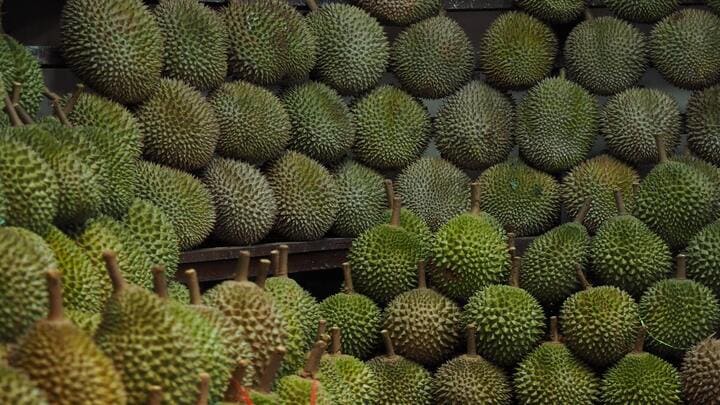 Image of Food, Fruit, Plant, Produce, Durian, 