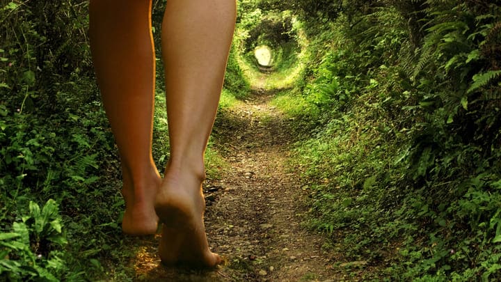Image of Vegetation, Path, Adult, Female, Person, Woman,