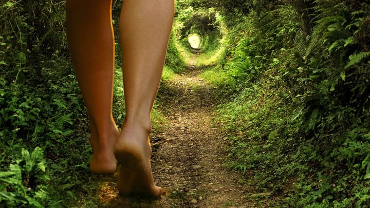 Image of Vegetation, Path, Adult, Female, Person, Woman, 