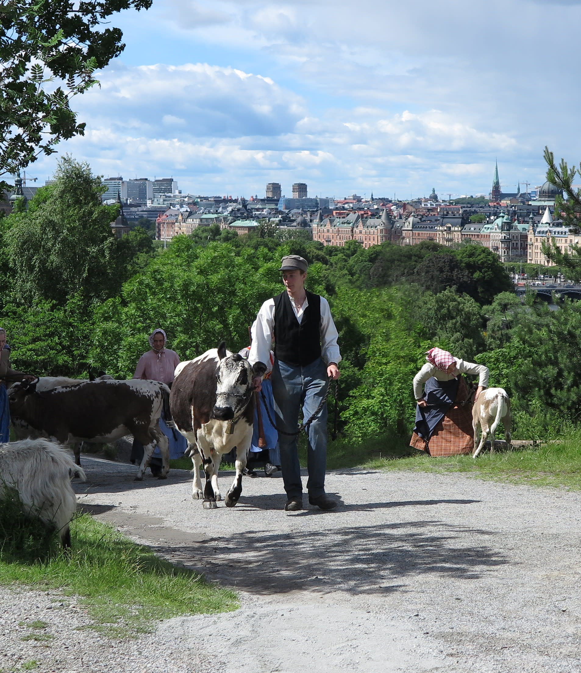 Image of Pants, Person, Photography, Portrait, Walking, Adult, Male, Man, Animal, Cattle, Cow, Livestock, Mammal, Female, Woman, Bull, Tree, Sheep, Outdoors, City, Nature, 