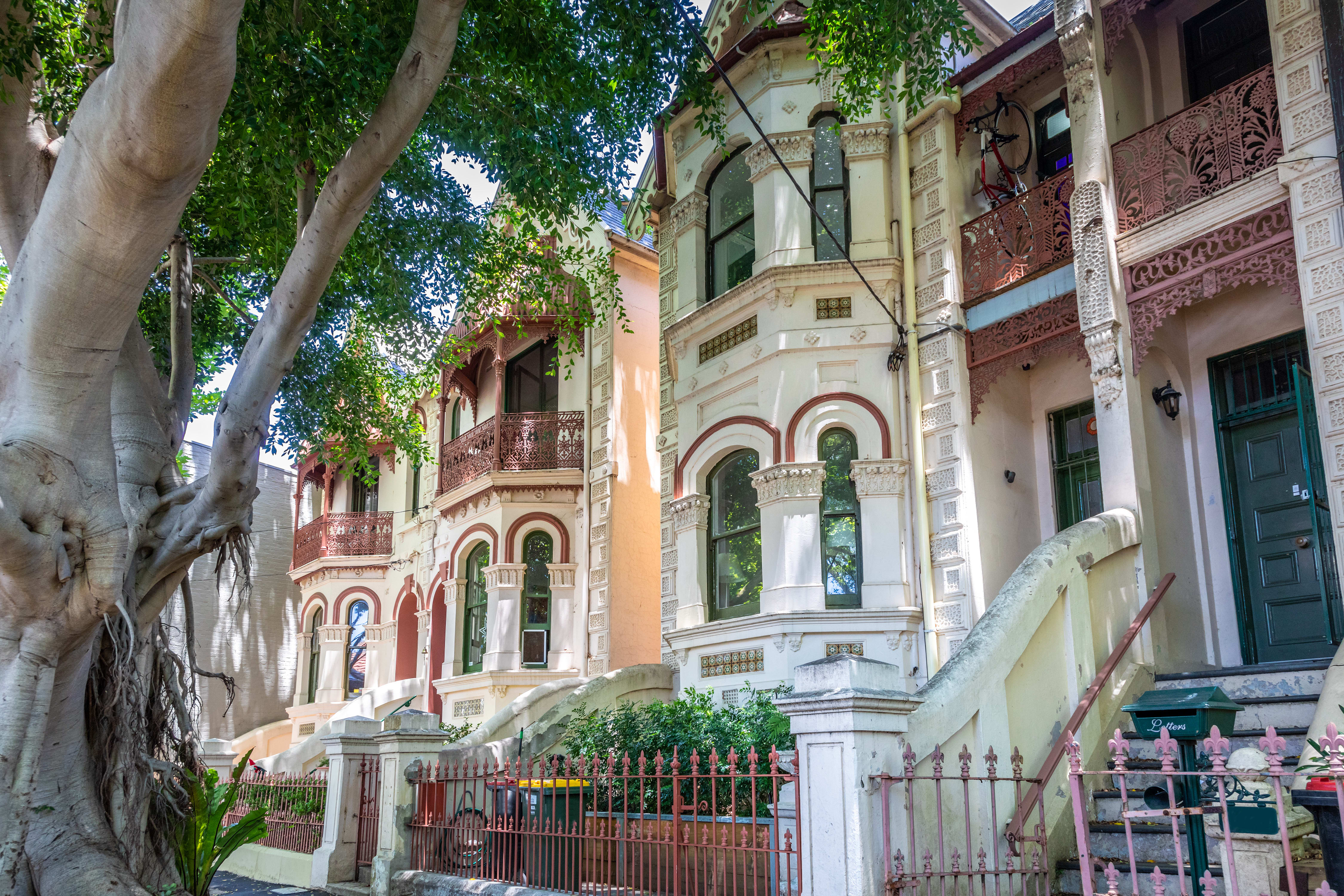 Image of Tree, Neighborhood, Handrail, Tree Trunk, City, Urban, 