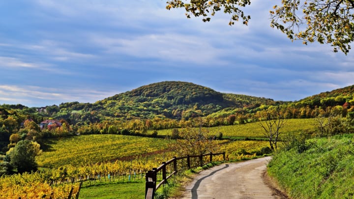 Image of Nature, Outdoors, Countryside, Field, Grassland, Hill, Scenery, Rural, Path, 