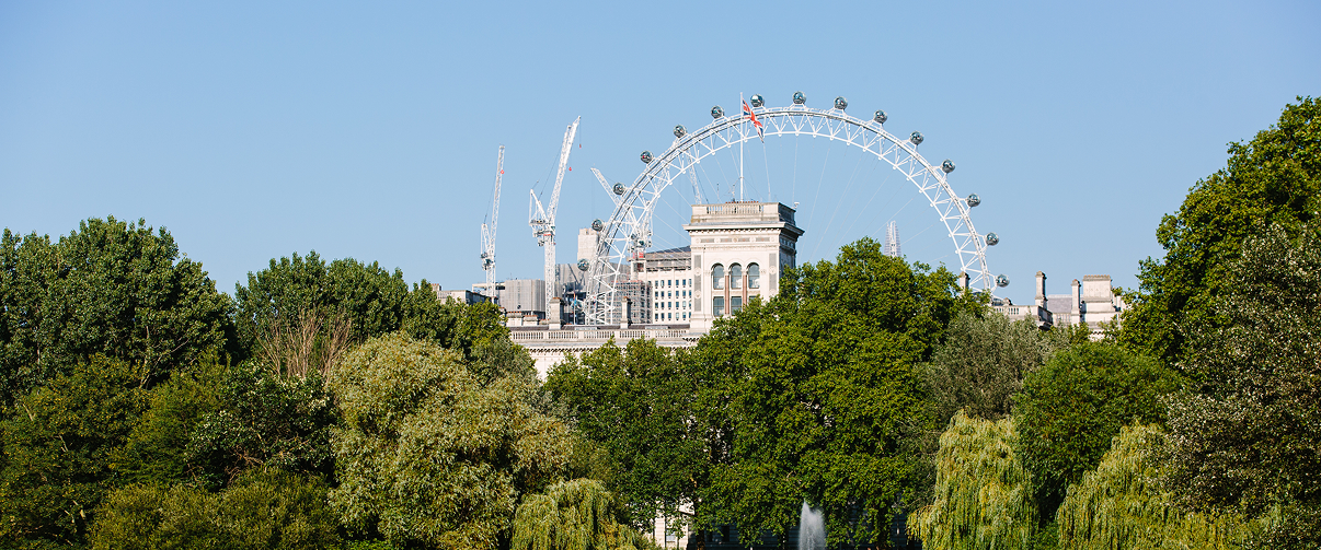 River Thames Bike Tour with Borough Market Lunch