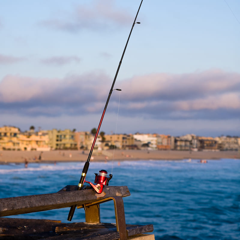 Venice Fishing Pier Tours - Book Now