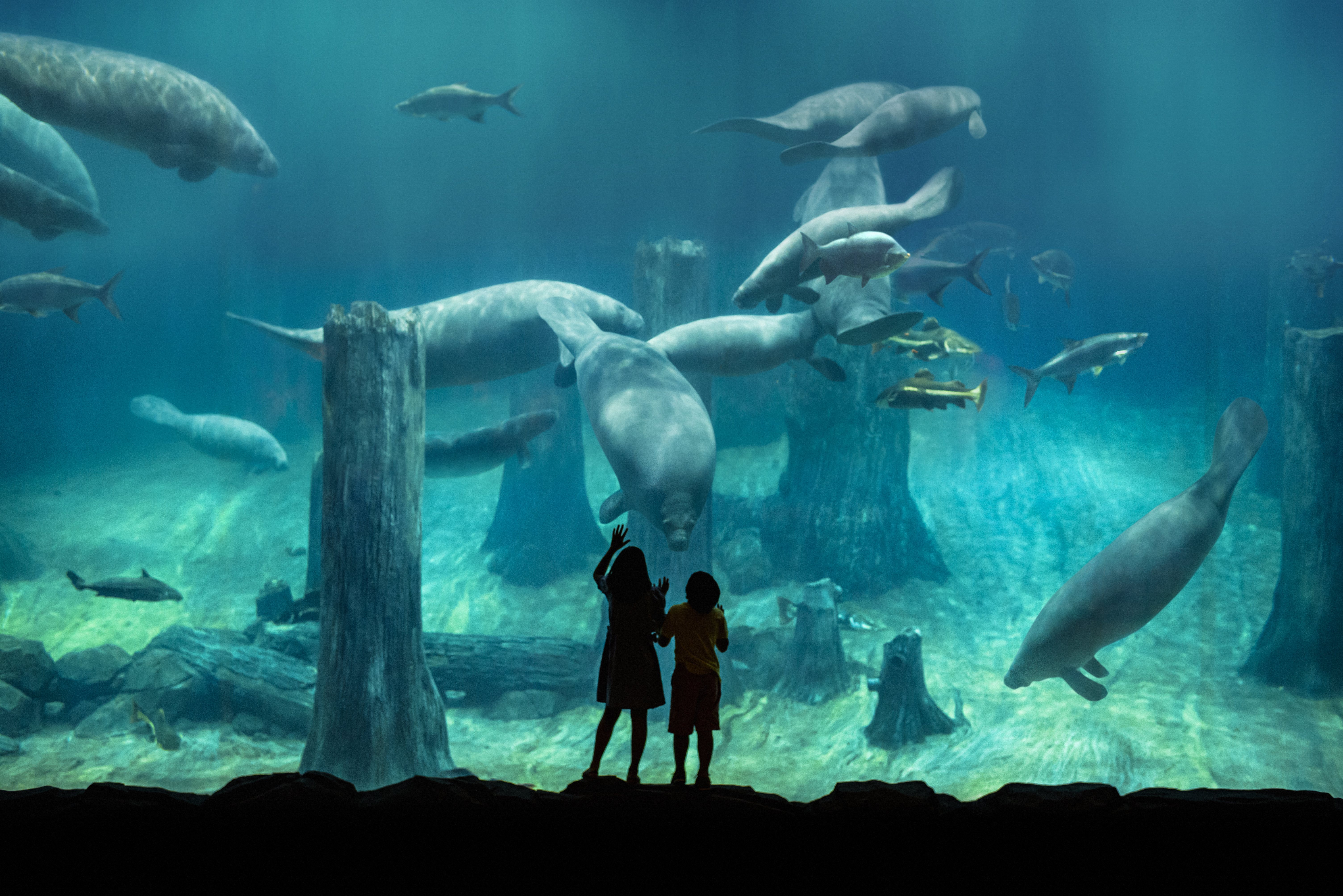 新加坡河川生态园｜万态野生动物世界