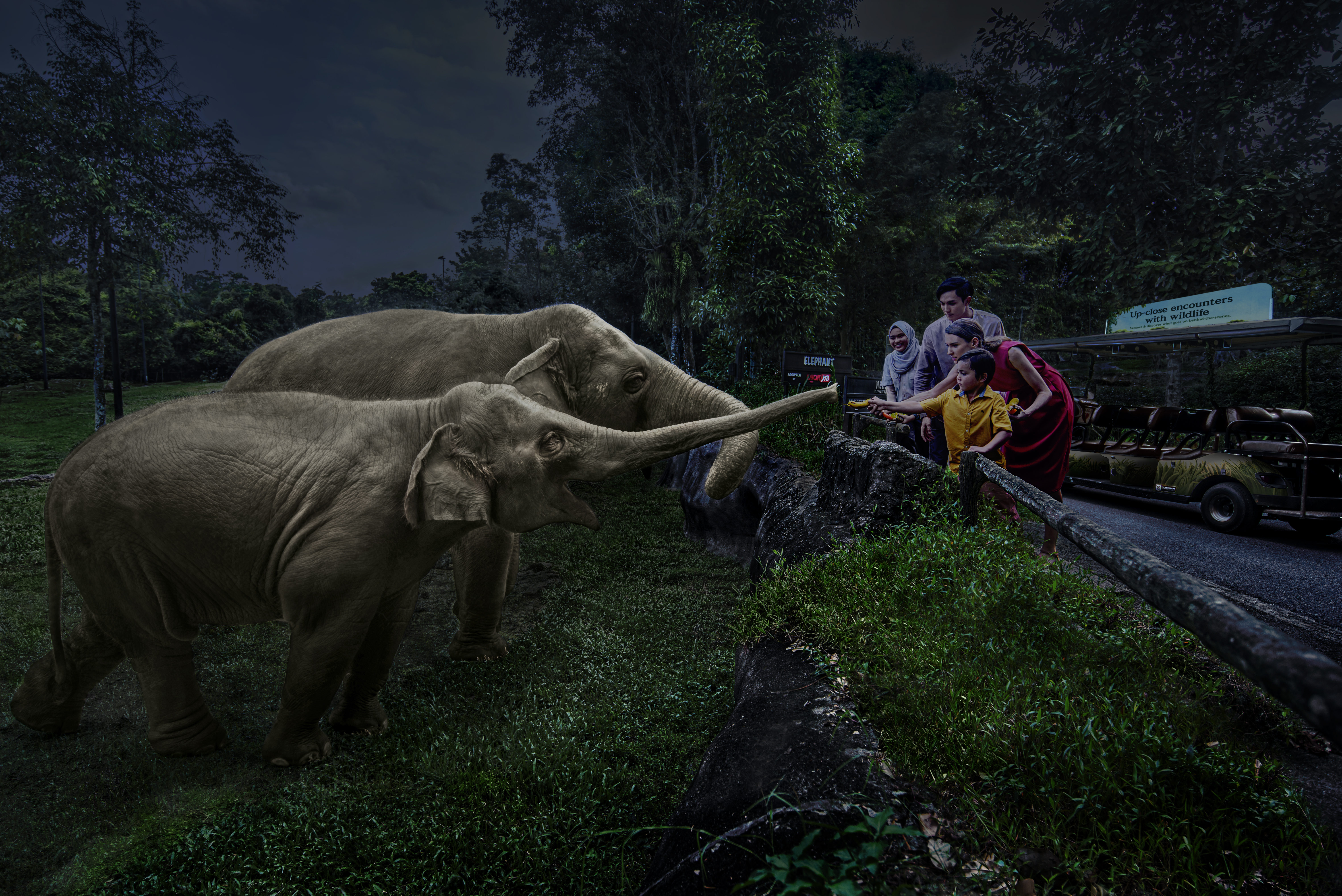 新加坡夜间野生动物园｜万态野生动物世界