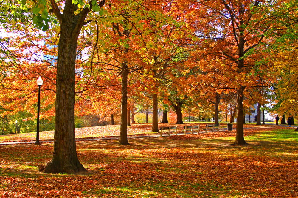 写真集　￼BOSTON  Robert   Llewellyn 風景 Robert Llewellyn, Landscapes by Bond Millen Gallery - Issuu