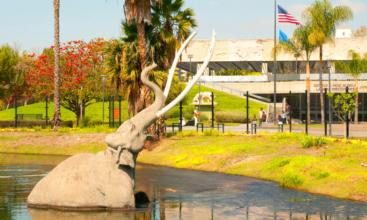 La Brea Tar Pits and Museum