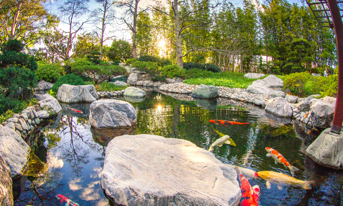 Japanese Friendship Garden San Diego