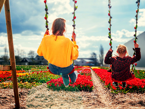 Half Day Tulip Experience Tour