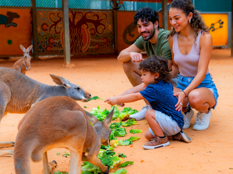 San Antonio Zoo