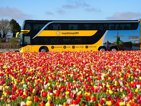 Volendam Day Tour
