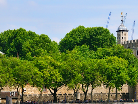 City of London Walking Tour