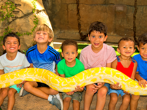 Zoo Miami