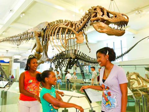 American Museum of Natural History tickets discount | New York Explorer Pass
