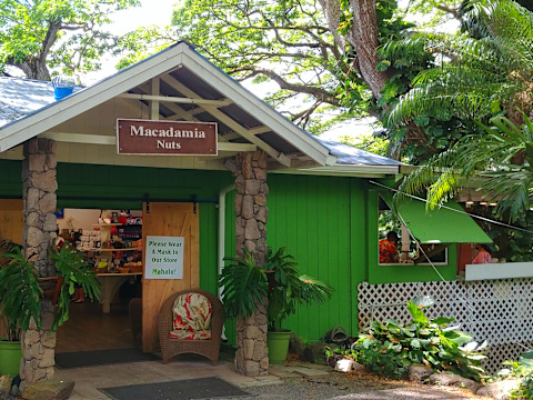 Grand Tour around Oahu