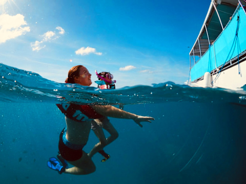Waikiki Snorkel