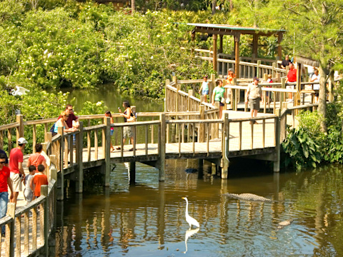 Gatorland