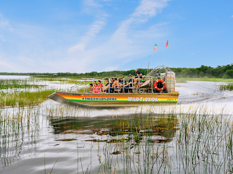 wild florida everglades boat tours