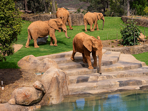 Elephant Valley