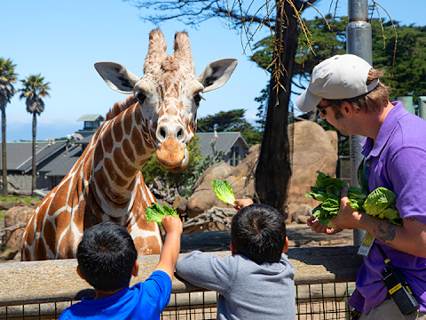 San Francisco Zoo & Gardens