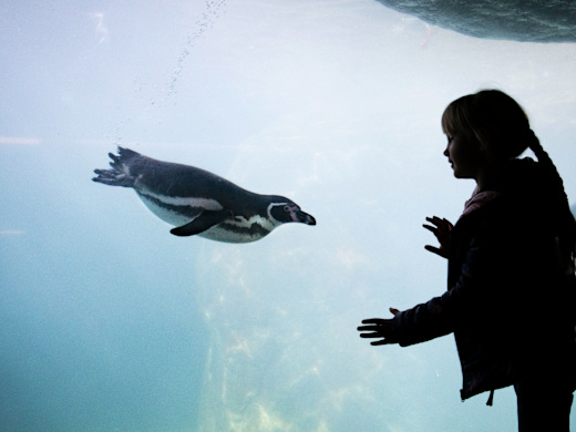 Barcelona Zoo