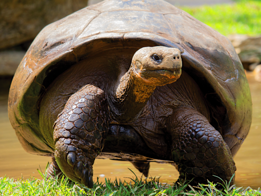Philadelphia Zoo