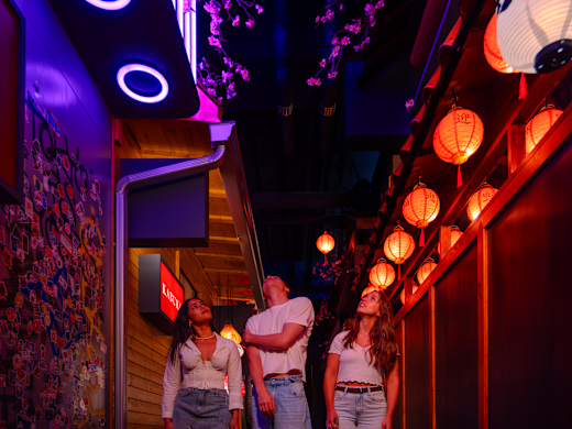 Ikono Immersive Experience