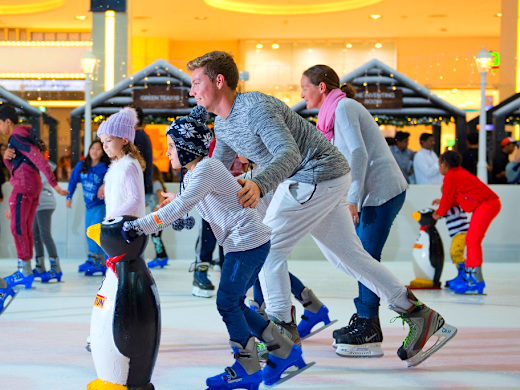 Ice Rink