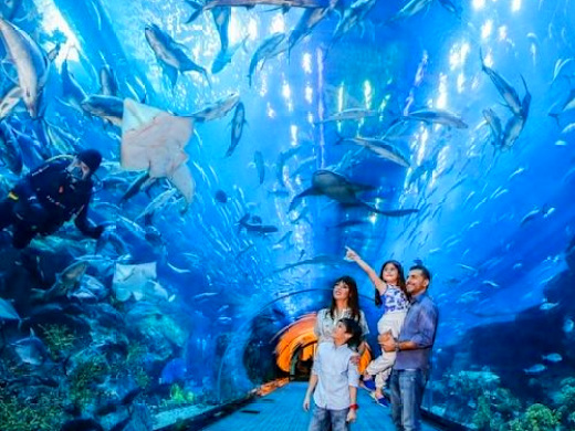 Dubai Aquarium and Underwater Zoo