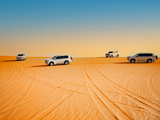 Desert Safari and BBQ Dinner in Abu Dhabi