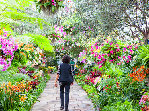 NY Botanic Garden