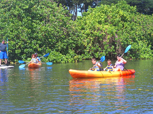 3h Kayak or Stand Up Paddle Board Rental Oahu