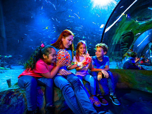 SEA LIFE Aquarium Orlando