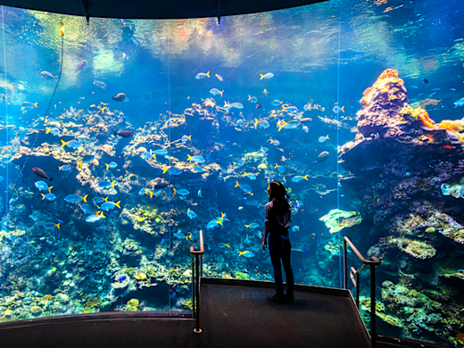 California Academy of Science