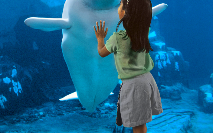 SeaWorld® San Diego