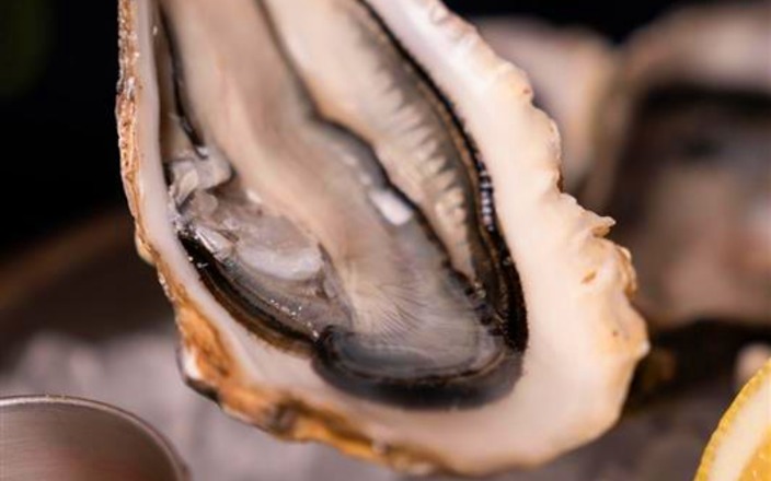 Sparkling Bites: Oysters or Salmon & Wine at Les Turbines